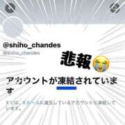 ヒメ日記 2025/10/09 18:04 投稿 しほ CECIL