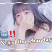 ヒメ日記 2025/10/09 21:49 投稿 しほ CECIL