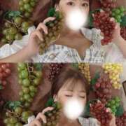 ヒメ日記 2025/10/12 15:45 投稿 しほ CECIL