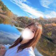 ヒメ日記 2025/10/29 14:40 投稿 しほ CECIL