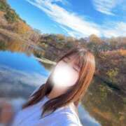 ヒメ日記 2025/11/03 09:02 投稿 しほ CECIL