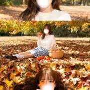 ヒメ日記 2025/11/09 09:42 投稿 しほ CECIL