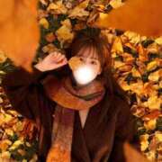 ヒメ日記 2025/12/01 17:22 投稿 しほ CECIL