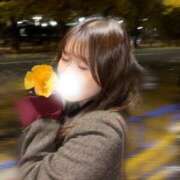 ヒメ日記 2025/12/01 23:22 投稿 しほ CECIL