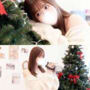 ヒメ日記 2025/12/02 23:29 投稿 しほ CECIL