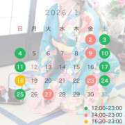 ヒメ日記 2025/12/26 15:01 投稿 しほ CECIL