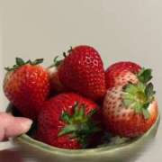 ヒメ日記 2026/02/11 19:30 投稿 しほ CECIL