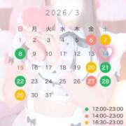 ヒメ日記 2026/02/25 18:19 投稿 しほ CECIL