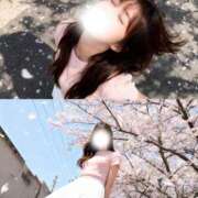 ヒメ日記 2026/03/12 21:15 投稿 しほ CECIL