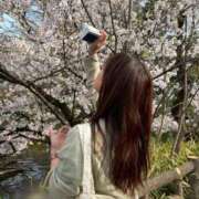 ヒメ日記 2026/03/30 20:53 投稿 しほ CECIL