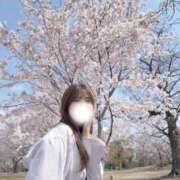 ヒメ日記 2026/04/01 13:45 投稿 しほ CECIL