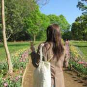 ヒメ日記 2026/04/16 23:31 投稿 しほ CECIL