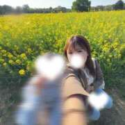 ヒメ日記 2026/04/17 19:05 投稿 しほ CECIL