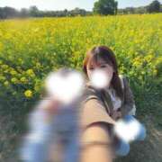 ヒメ日記 2026/04/20 17:45 投稿 しほ CECIL