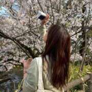 ヒメ日記 2026/04/21 10:15 投稿 しほ CECIL