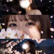 ヒメ日記 2026/04/22 15:41 投稿 しほ CECIL