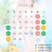 ヒメ日記 2026/05/29 12:34 投稿 しほ CECIL