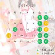 ヒメ日記 2026/09/26 08:47 投稿 しほ CECIL