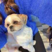 ヒメ日記 2025/02/08 18:57 投稿 わかば One More奥様　横浜関内店