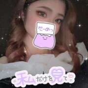 わかば しゅ！！ One More奥様　横浜関内店