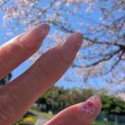 ヒメ日記 2025/04/14 17:54 投稿 理咲子 東京人妻フォーシーズンズ