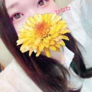 ヒメ日記 2025/09/22 22:58 投稿 ひなた 白いぽっちゃりさん仙台店