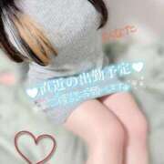 ひなた 🌟出勤予定 白いぽっちゃりさん仙台店