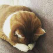 ヒメ日記 2025/07/23 11:43 投稿 みれい バッドカンパニー水戸