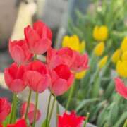 ヒメ日記 2025/05/30 14:14 投稿 桜庭ゆりあ 大人のエッチなエステ