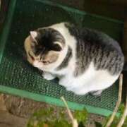 ヒメ日記 2025/07/02 14:15 投稿 桜庭ゆりあ 大人のエッチなエステ