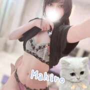 ヒメ日記 2025/10/03 15:40 投稿 まひろ ドンファン