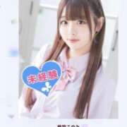 ヒメ日記 2025/07/15 12:59 投稿 桃宮このみ 池袋パラダイス