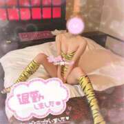 ヒメ日記 2026/02/19 00:58 投稿 みきか☆超絶美白激カワ天使♡ さくらんぼ女学院