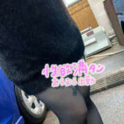 ヒメ日記 2025/11/25 19:19 投稿 縛子 迷宮の人妻　熊谷・行田発