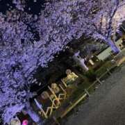 ヒメ日記 2026/04/12 21:09 投稿 縛子 迷宮の人妻　熊谷・行田発