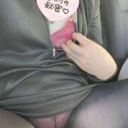 ヒメ日記 2025/11/12 14:09 投稿 縛子 迷宮の人妻 古河・久喜発