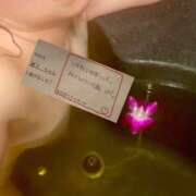 ヒメ日記 2026/02/21 01:59 投稿 縛子 迷宮の人妻 古河・久喜発