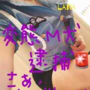 ヒメ日記 2025/03/05 12:01 投稿 ラナ Club-Embassy