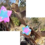 ヒメ日記 2025/06/23 13:37 投稿 ラナ Club-Embassy