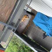 ヒメ日記 2025/07/04 23:32 投稿 ラナ Club-Embassy