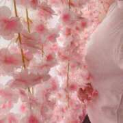 ヒメ日記 2025/03/14 10:11 投稿 ひなた [優良人妻店]セレブスタイル（山口～防府～萩）