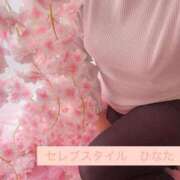 ヒメ日記 2025/04/14 10:36 投稿 ひなた [優良人妻店]セレブスタイル（山口～防府～萩）