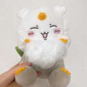 ヒメ日記 2025/04/18 11:58 投稿 ゆめ ワンダフル