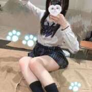 ヒメ日記 2025/10/11 15:48 投稿 ゆめ ワンダフル