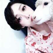 ヒメ日記 2025/12/05 12:30 投稿 円花-まどか MSC 妄想紳士倶楽部 鶯谷店