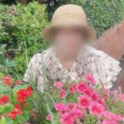 ヒメ日記 2025/08/26 11:45 投稿 影井　ひなた OLセレクション宇都宮店