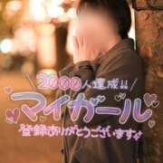 ヒメ日記 2025/11/23 14:00 投稿 影井　ひなた OLセレクション宇都宮店