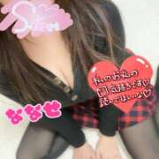 ヒメ日記 2025/02/12 19:02 投稿 ななせ 千葉人妻花壇