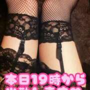 ヒメ日記 2025/02/15 14:33 投稿 ななせ 千葉人妻花壇