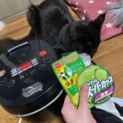 ヒメ日記 2025/02/18 20:31 投稿 ななせ 千葉人妻花壇